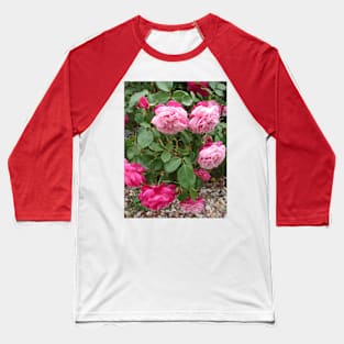 Pink Vintage Rose Flower Photo Baseball T-Shirt